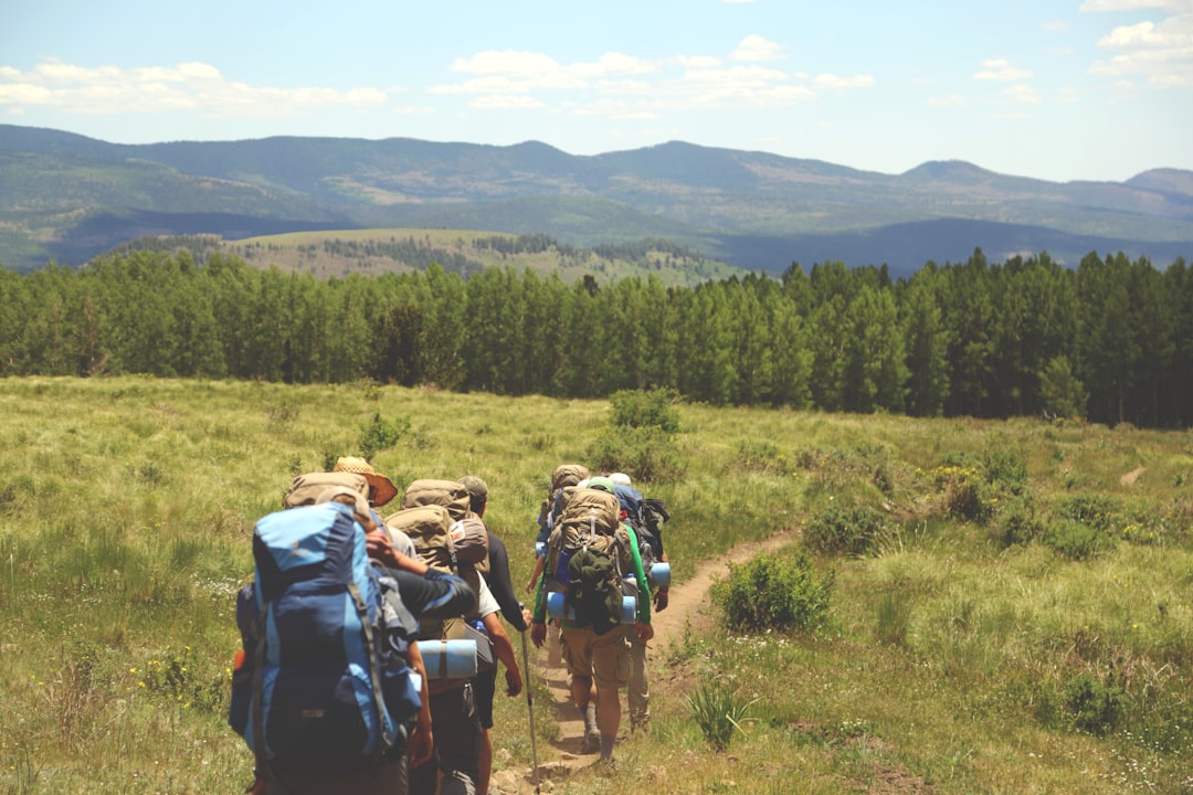 My productivity hike